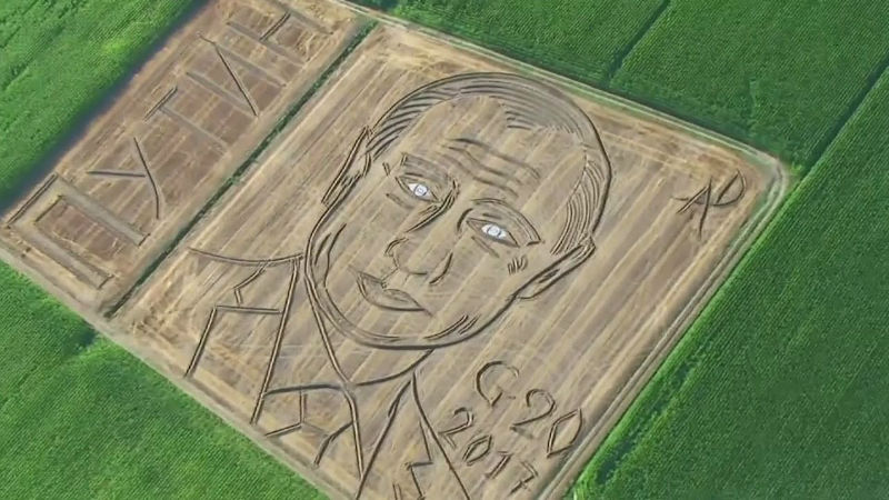 Путин на поле рисунок Путин на поле рисунок