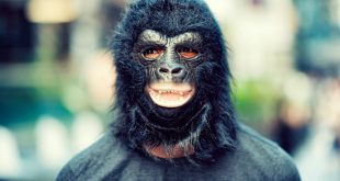 В Петербурге грабитель-горилла украл два «Самсунга» из салона сотовой связи