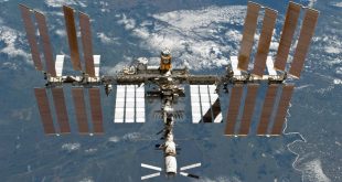 На День святого Валентина НАСА подарит астронавтам МКС смертельно опасную бактерию