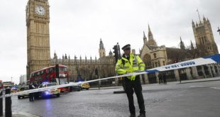 В Лондоне по делу о теракте у здания парламента задержаны 7 человек
