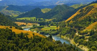 В Новой Зеландии река впервые в истории была наделена правами человека