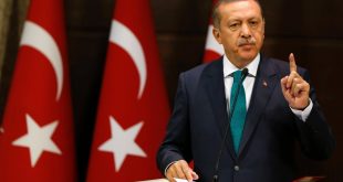 В "Википедии" Эрдогана окрестили диктатором после объявления результатов референдума о конституционных реформах в Турции