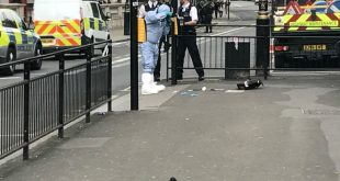 Вооруженный двумя ножами мужчина задержан возле здания британского парламента в Лондоне