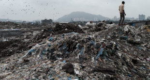 В столице Шри-Ланки гора мусора завалила лачуги местных жителей