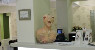 В Петербурге появился пугающий памятник зубной боли из человеческих зубов