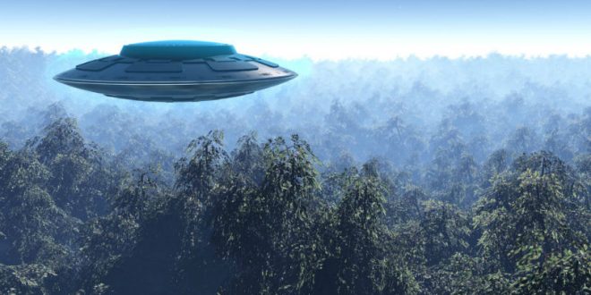 Уфологи обнаружили НЛО на кадрах документального фильма Discovery