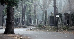 Уральские школьники повредили более 150 могил, занимаясь паркуром на кладбище