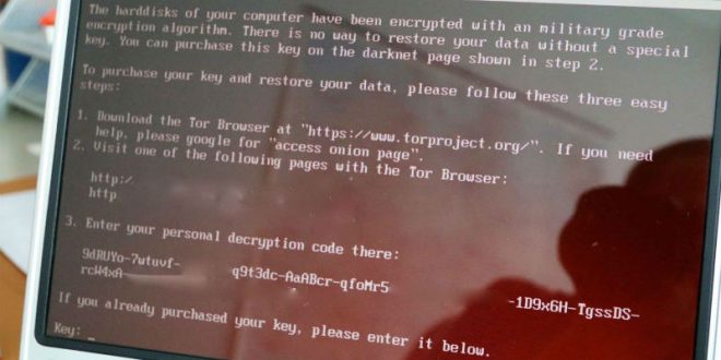 Российские и украинские компании стали жертвами масштабной хакерской атаки