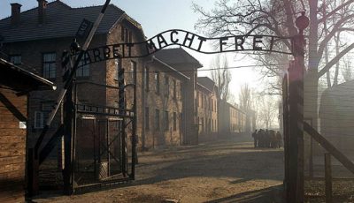 Израильская студентка украла экспонаты из музея Освенцима для собственной выставки