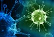 В США разрешили проводить эксперименты со смертельными вирусами
